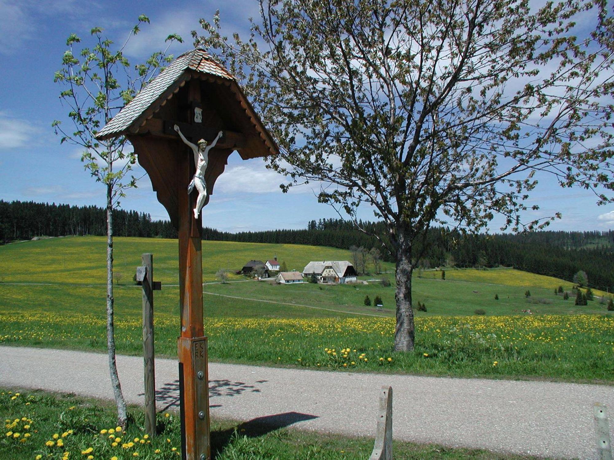 Cafe-Pension Feldbergblick تيتيسي نيوستادت المظهر الخارجي الصورة